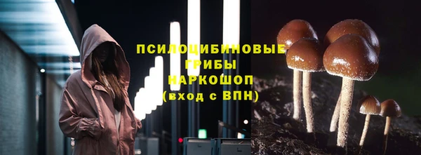 apvp Бугульма