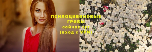 apvp Бугульма